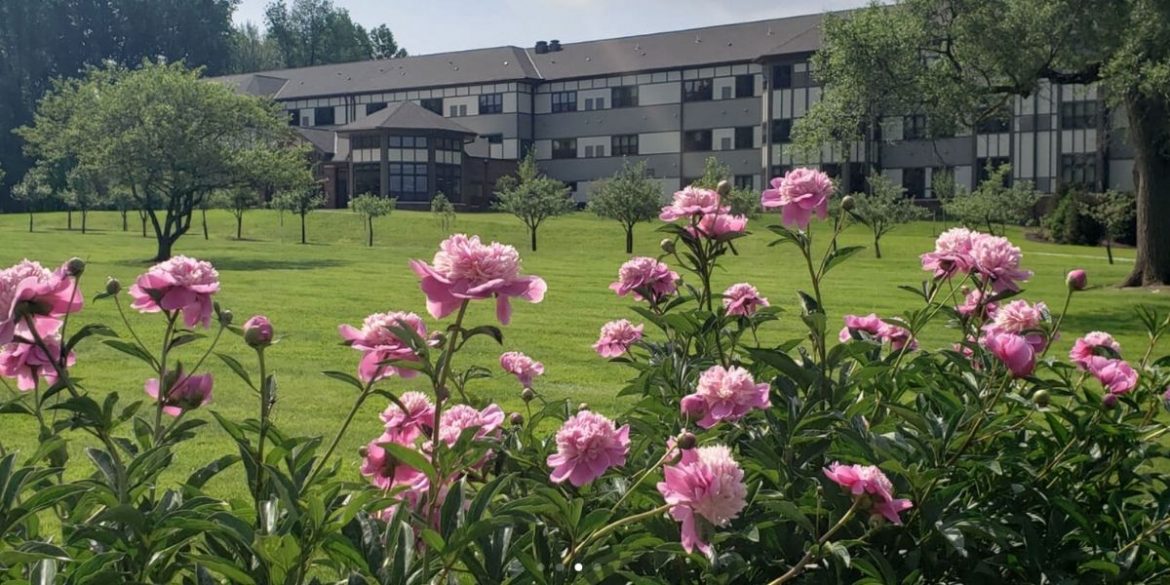 mcgregor McGregor Foundation