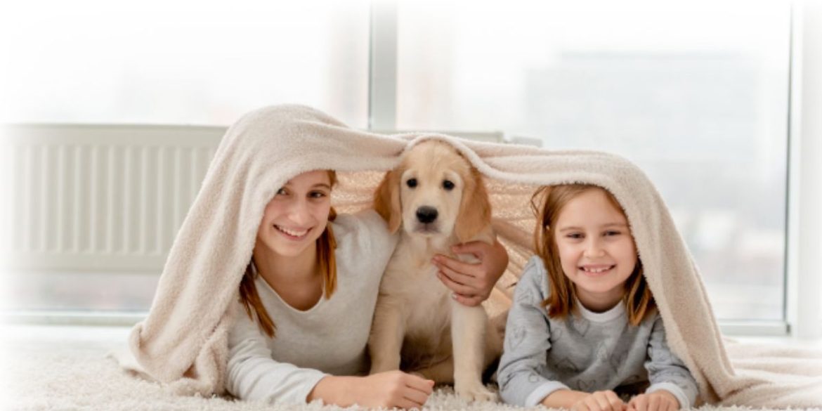 MDG flooring _winter23