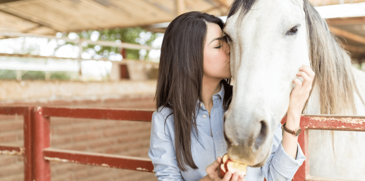 Screen Shot 2024-03-15 at 4.52.11 PM Equine Therapy