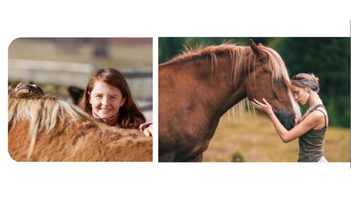 lamplight summer 25 girls with horses